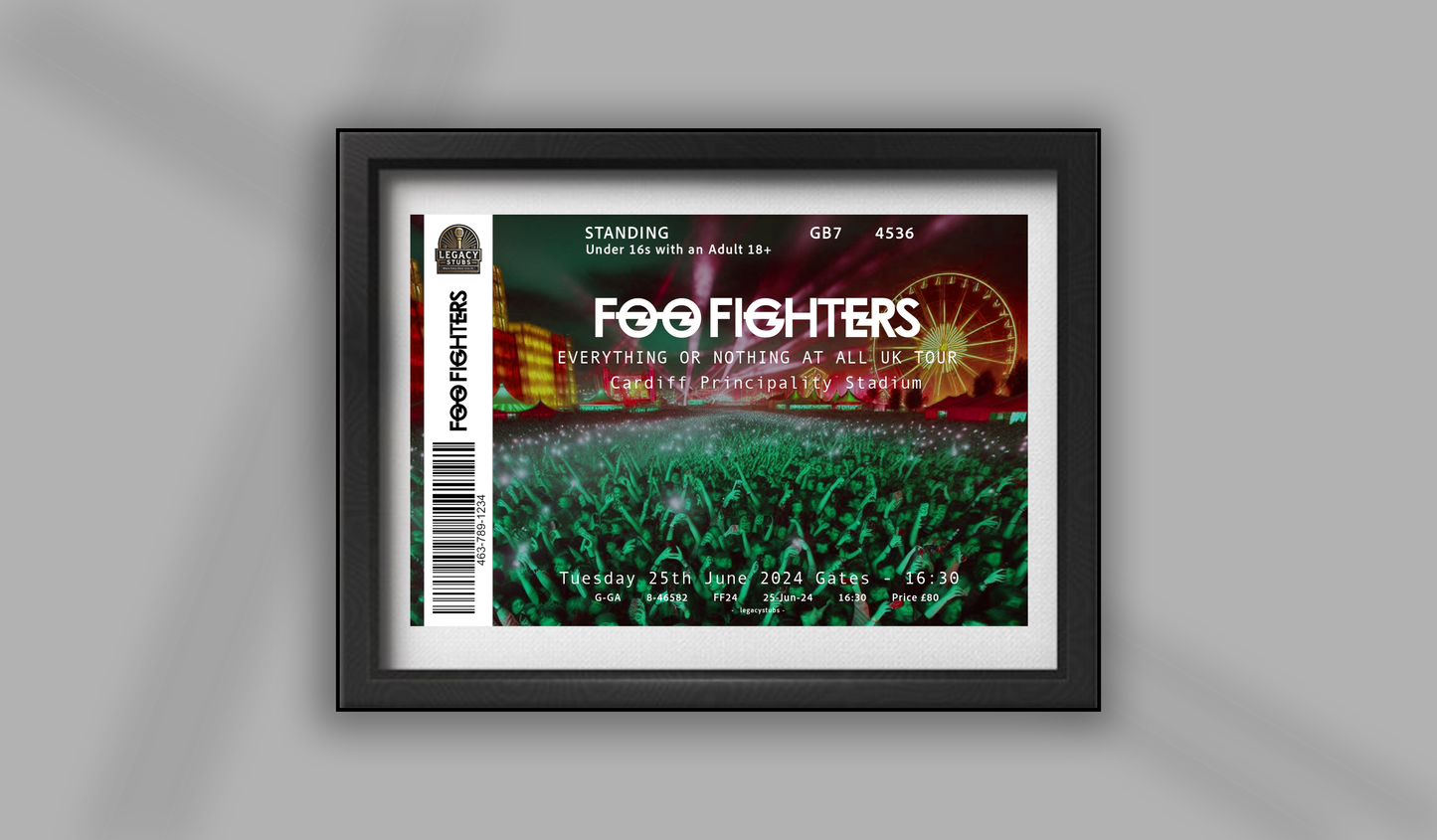 Foo Fighters Deluxe Souvenir Ticket